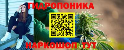 гашиш Кимры