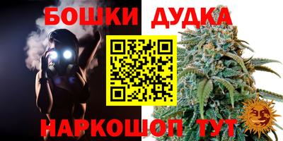 трава Кингисепп