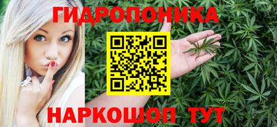 трава Кингисепп