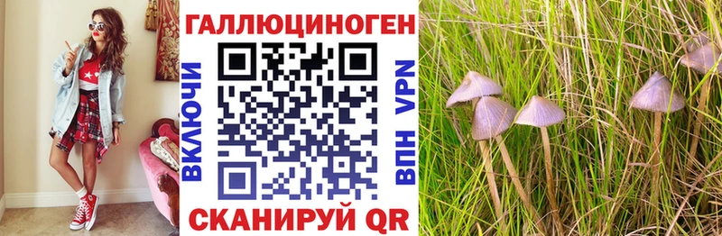 Галлюциногенные грибы GOLDEN TEACHER  Нурлат 
