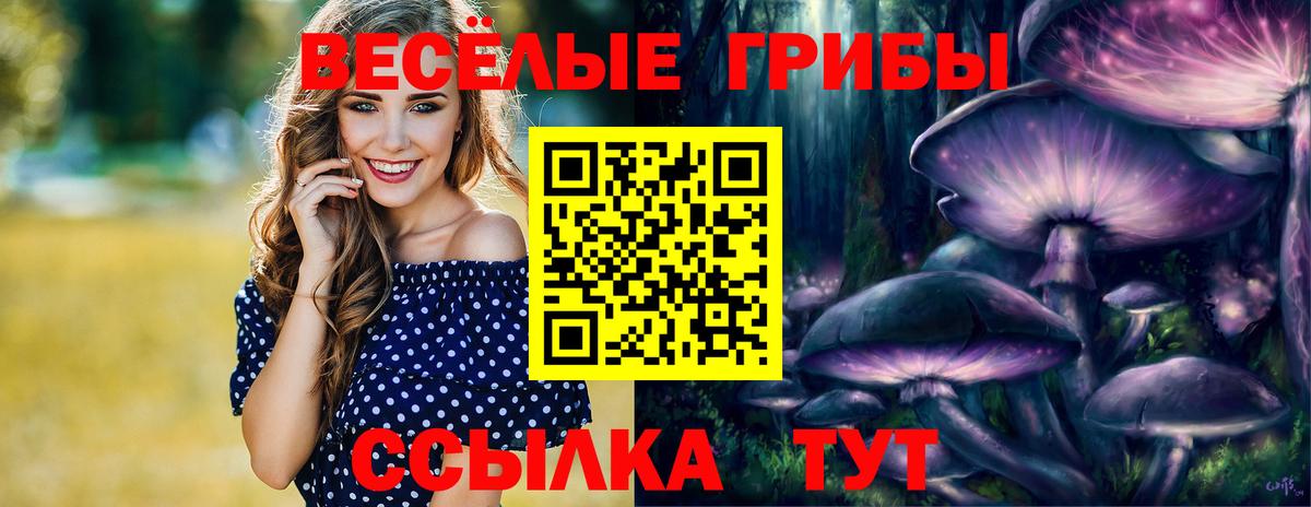 Галлюциногенные грибы GOLDEN TEACHER Нурлат